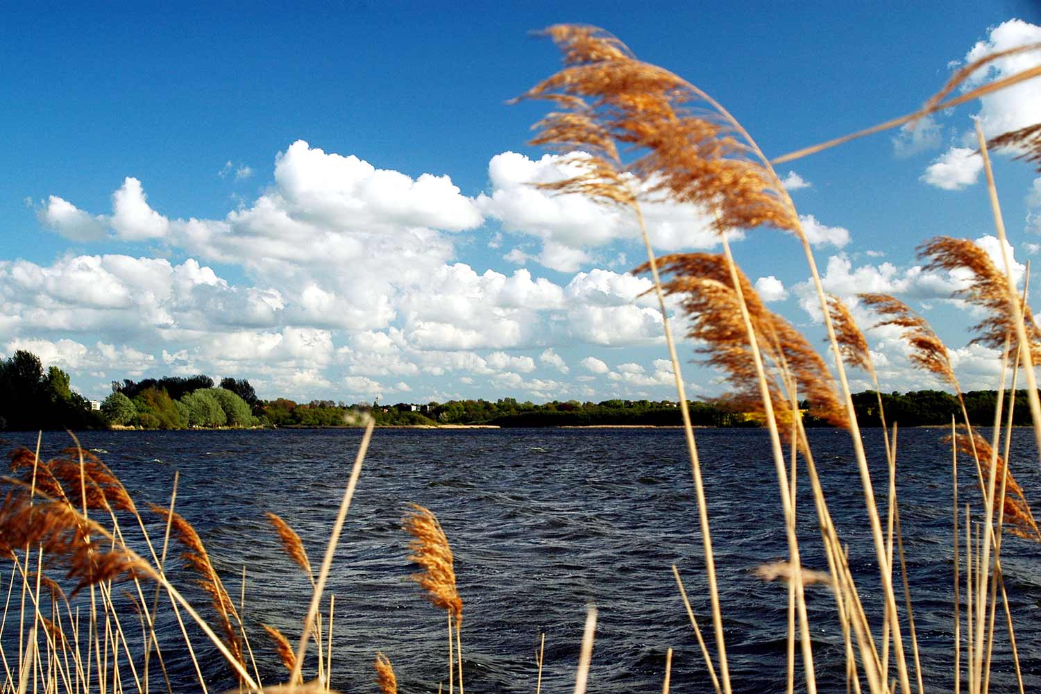 Das Windebyer Noor bei Eckernförde