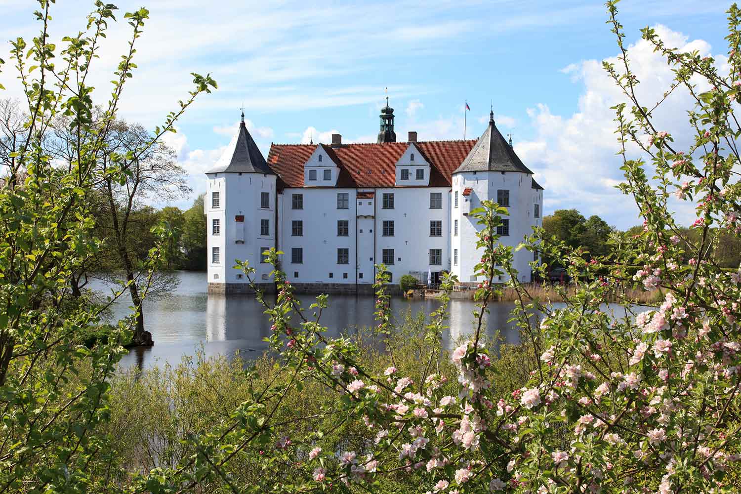 Das Glücksburger Schloss umgeben von einem Rosarium