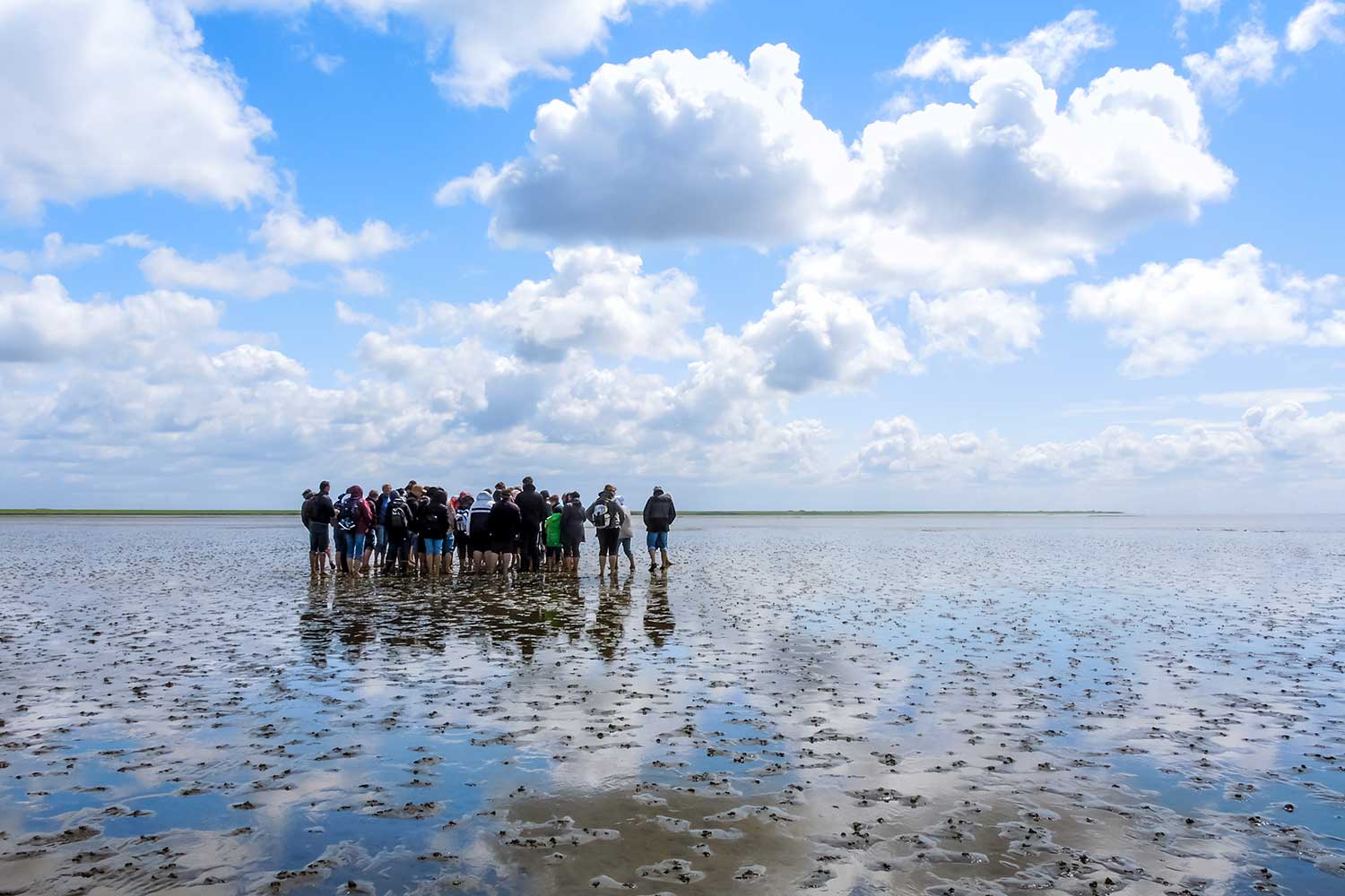 Blick auf eine Gruppe von Wattwanderern im Wattenmeer.