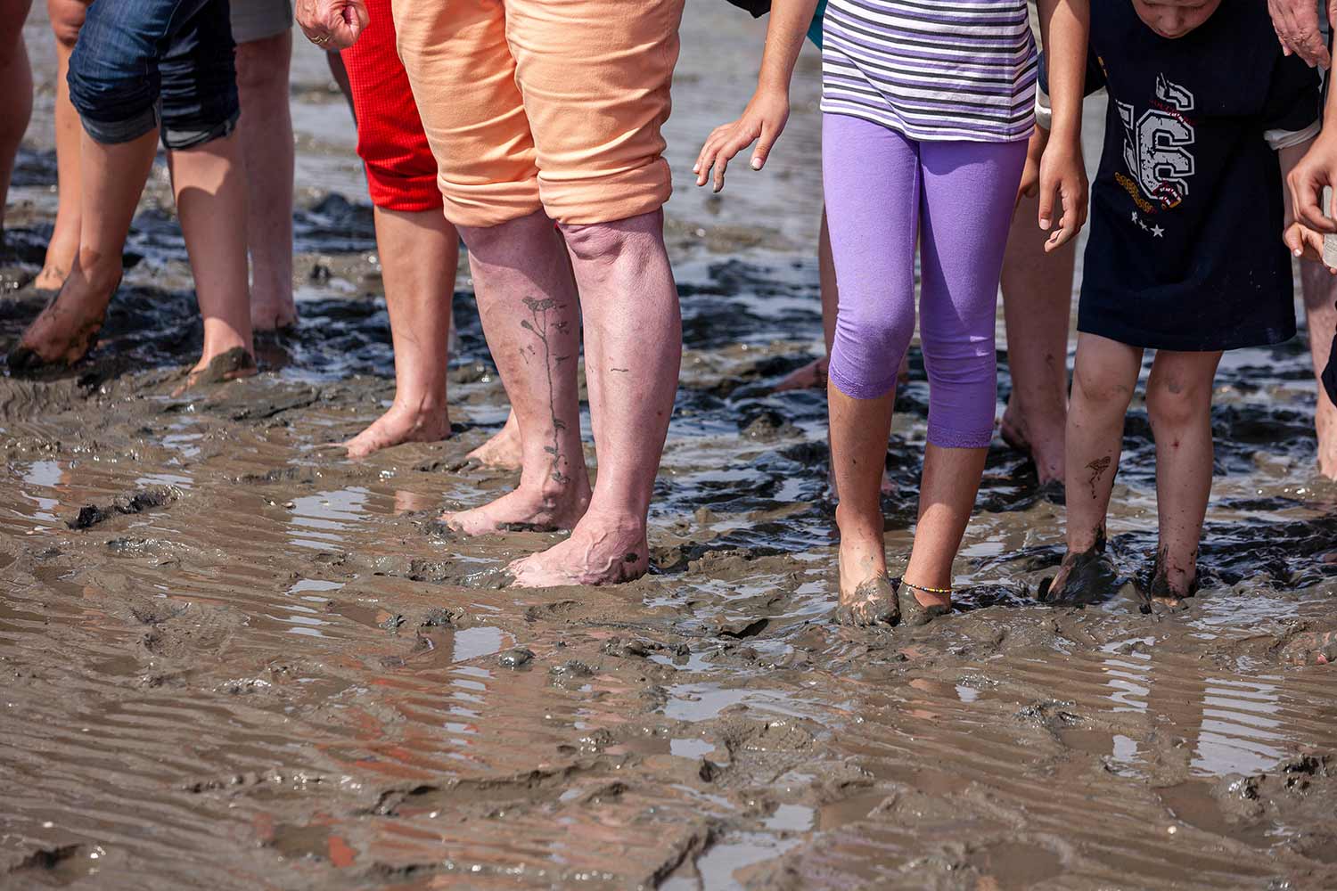 Ganzschön schlammig – die Füße von Wandergruppe im Wattenmeer vor Freidrichskoog.