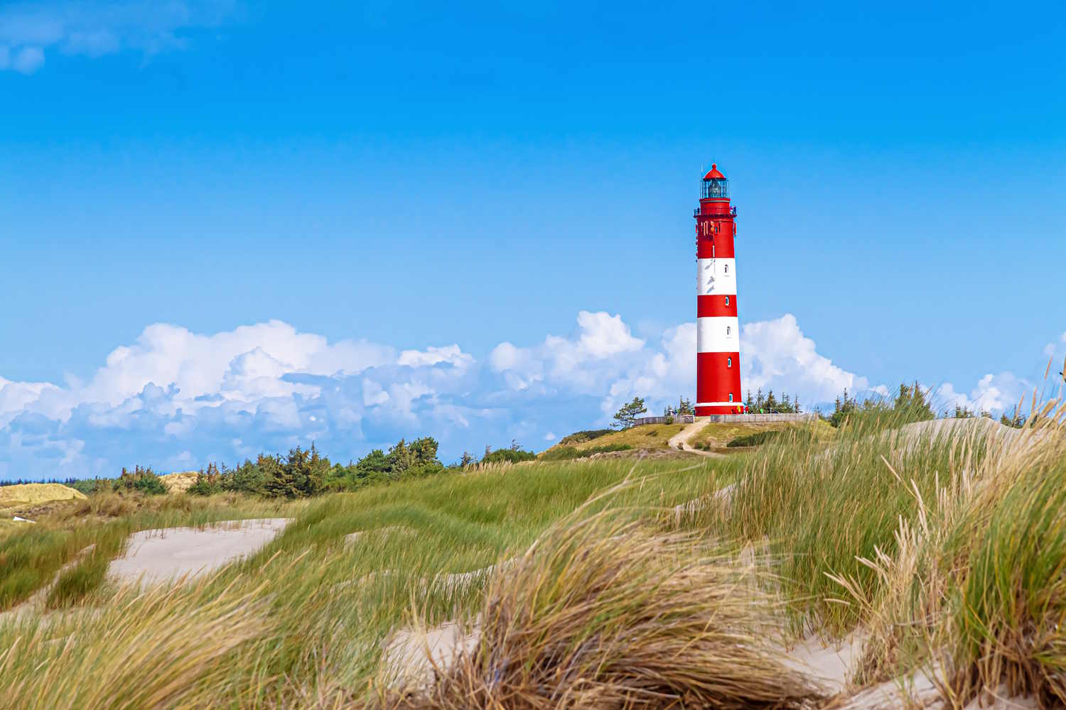 Leuchtturm auf Amrum mit Dünen