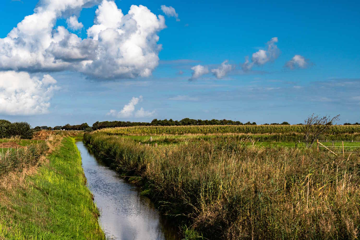 Kanal zwischen Nieblum und Alkersum