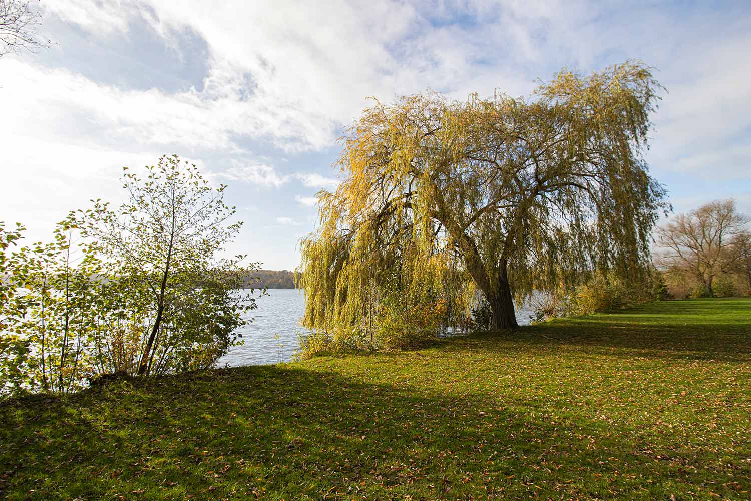 Natur am Ratzeburger See