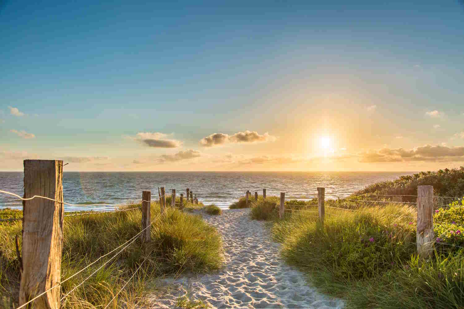 Strandzugang durch die Dühnen im Sonnenuntergang