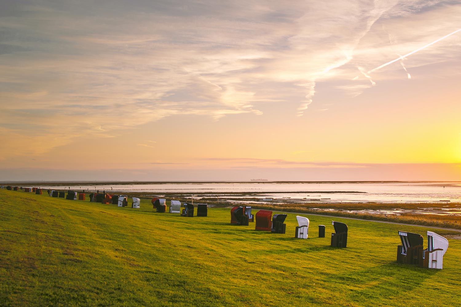Strandkörbe am grünen Strand von Friedrichskoog.