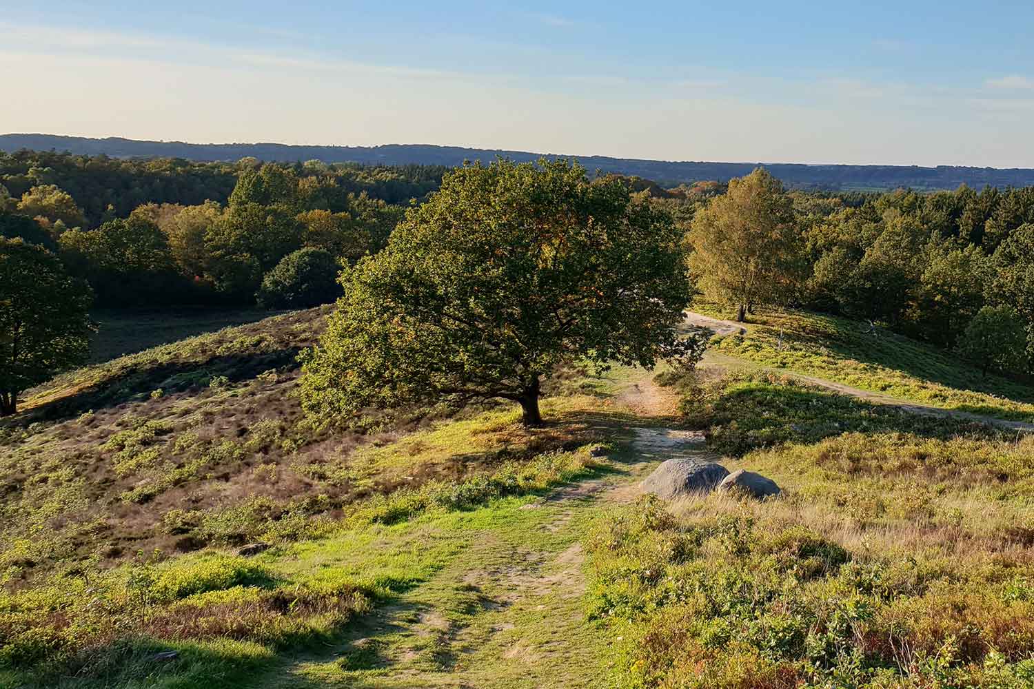 Wanderweg bei Eckernförde und Aukrug